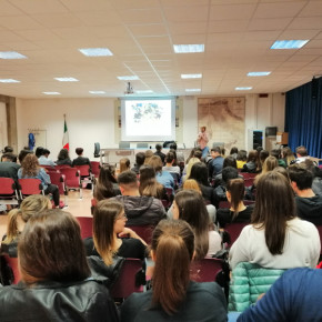 mdf livenza tagliamento