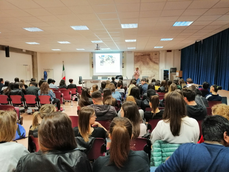 mdf livenza tagliamento